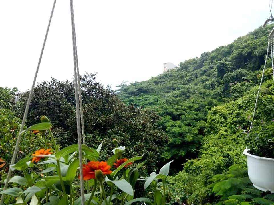 Lam Son Hotel & Apartments Vung Tau 3*,