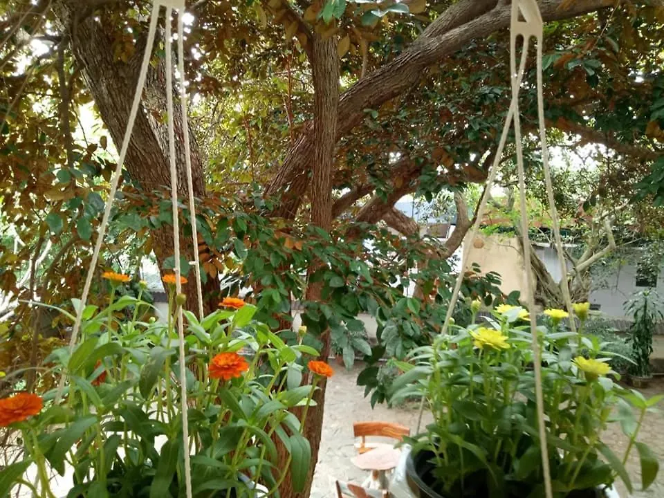וונג טאו Lam Son Hotel & Apartments